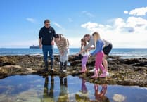 24-hour festival will celebrate the wildlife of the Cornish coast